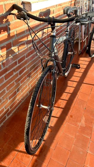 Bicicleta Orbea gris
