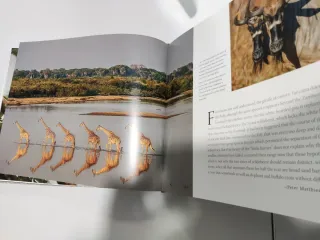 The Selous in Africa A Long Way from Anywhere