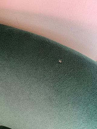 Silla terciopelo verde patas doradas