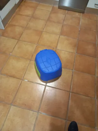 Orinal infantil azul y verde