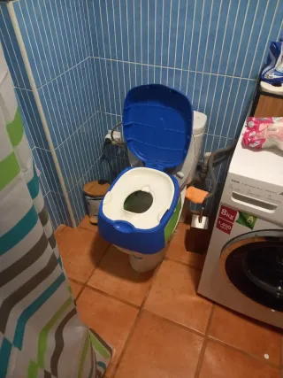 Orinal infantil azul y verde