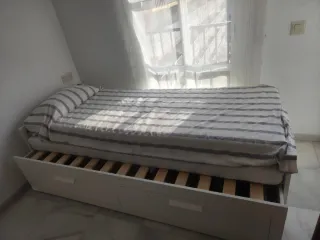 Cama extensible 1 plaza a 2 plazas c/2 colchones
