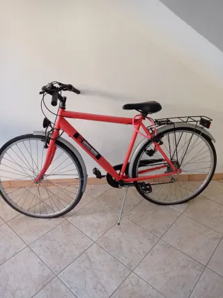 Bicicletta classica.