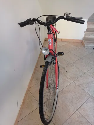 Bicicletta classica.