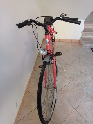 Bicicletta classica.