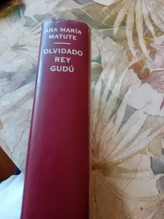 Olvidado Rey Gudu