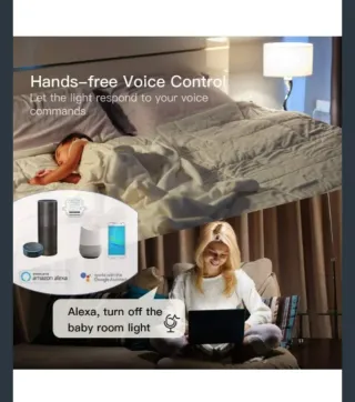 Kit 2 Interruptores Relé WiFi LoraTap