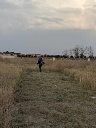 Servicio de desbroce de parcelas