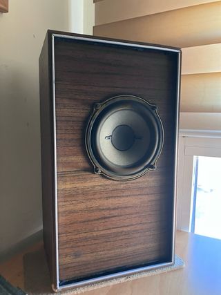 Altavoces Grundig Box 156 Marrones