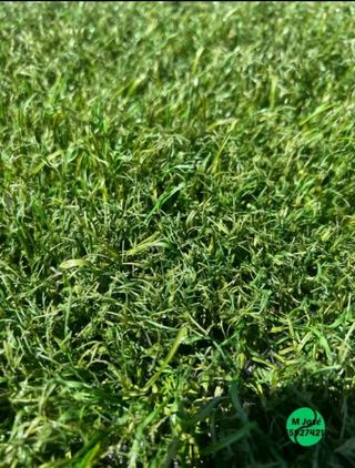 Césped artificial reciclado