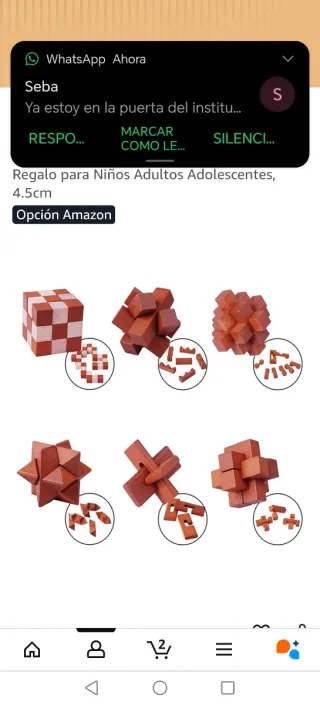 Juego de Rompecabezas de Madera