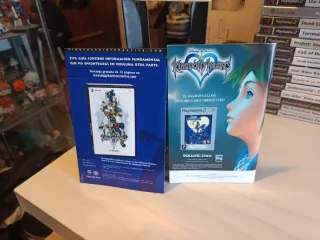 Kingdom Hearts II PS2 Completo