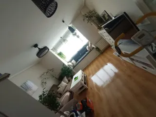 SERVICIO DE LIMPIEZA