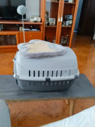 Transportín gato gris y blanco