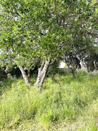 Solar en venta en Ruta de la Plata en Cáceres