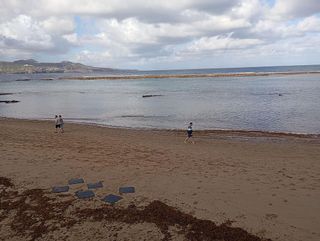 Piso en alquiler en Santa Catalina - Canteras en Palmas de Gran Canaria(Las)