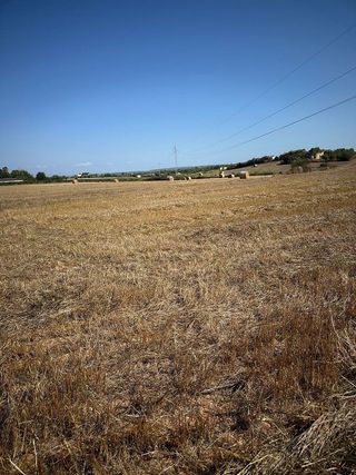 Solar en venta en Manacor Centro en Manacor