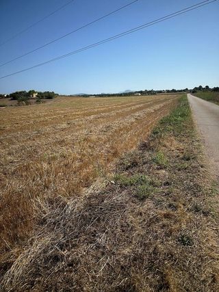 Solar en venta en Manacor Centro en Manacor