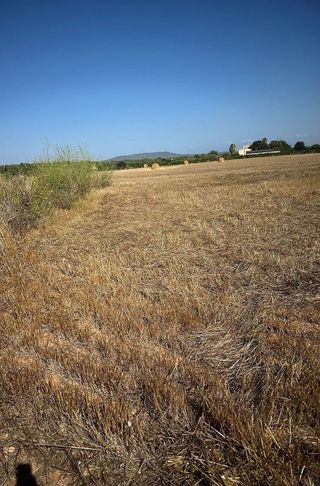 Solar en venta en Manacor Centro en Manacor