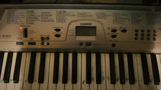 Teclado Casio CTK-230