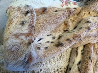 Abrigo de piel autentico