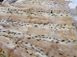 Abrigo de piel autentico