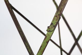 Tavolo pieghevole da giardino in metallo verde vintage Francia anni '50