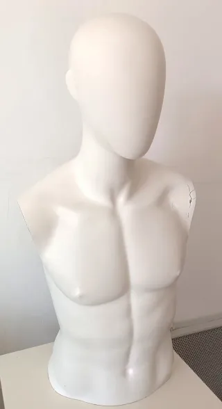 Maniquí torso hombre (80x40 cm)