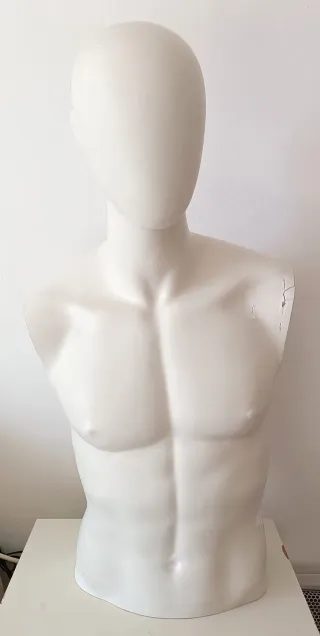 Maniquí torso hombre (80x40 cm)