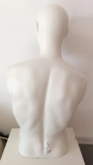Maniquí torso hombre (80x40 cm)