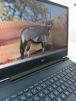 Portátil HP Victus Azul y Logo Plata