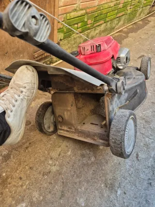 Cortacésped Honda GCV 160