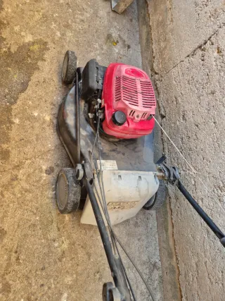 Cortacésped Honda GCV 160