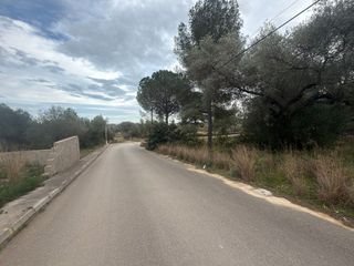 Terreno en venta en Zona Poble en Benicarló