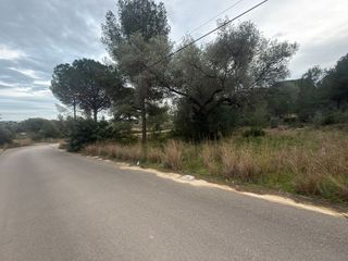 Terreno en venta en Zona Poble en Benicarló