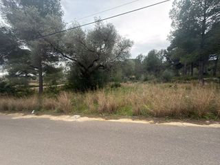 Terreno en venta en Zona Poble en Benicarló