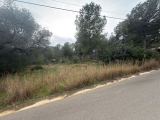 Terreno en venta en Zona Poble en Benicarló