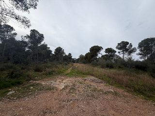 Terreno en venta en Zona Poble en Benicarló