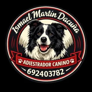 ADIESTRADOR CANINO, TOLEDO, ALRREDEDORES Y MADRID
