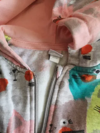 Conjunto treino gatos menina