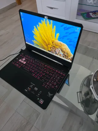 Portátil Gaming Asus FX505DT Negro/Rojo