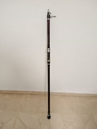 Caña Daiwa Tele Surf 420