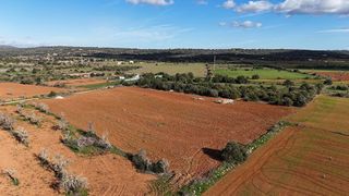 Solar en venta en Campos