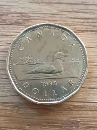 Moneda Canadá 1 Dólar 1988