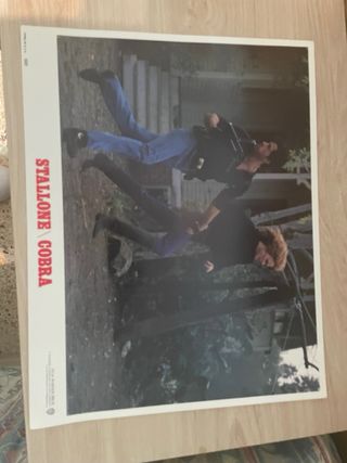 Fotocromos USA Cobra Stallone