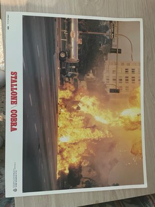 Fotocromos USA Cobra Stallone