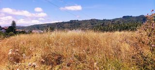 Terreno en venta en Teror en Teror