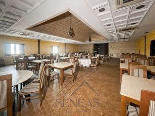 Restaurante en venta en Álamo (El)