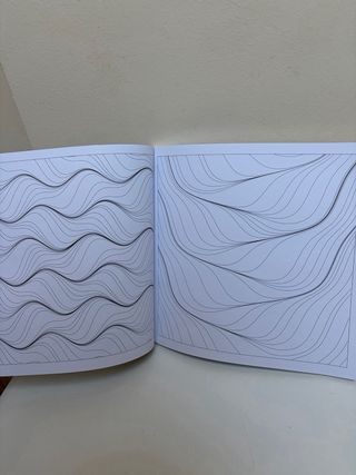 Libro La Gran Belleza Alex Bellos