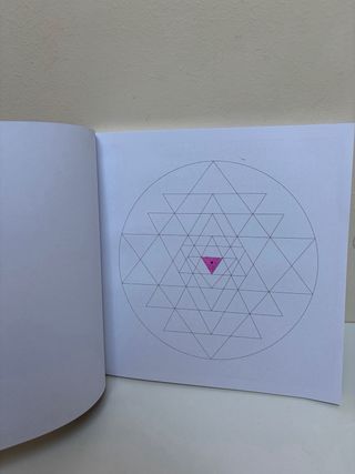 Libro La Gran Belleza Alex Bellos